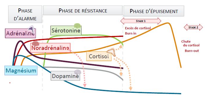 catherine Petitdidier naturopathe Puteaux burn out