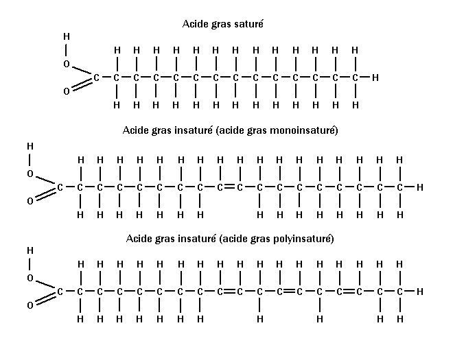 Catherine Petitdidier Naturopathe Puteaux Huiles 1