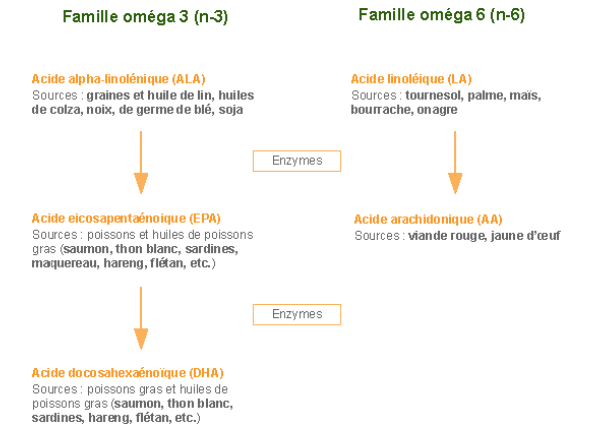 Catherine Petitdidier Naturopathe Puteaux Huiles 2