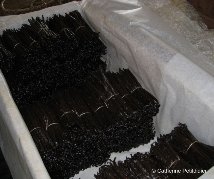 Catherine Petitdidier Naturopathe Puteaux Vanille (2)