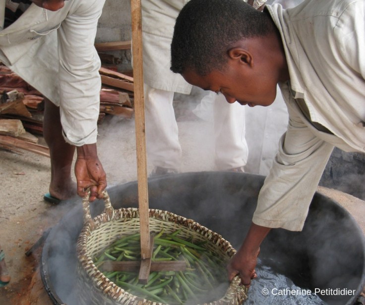 Catherine Petitdidier Naturopathe Puteaux Vanille (3)
