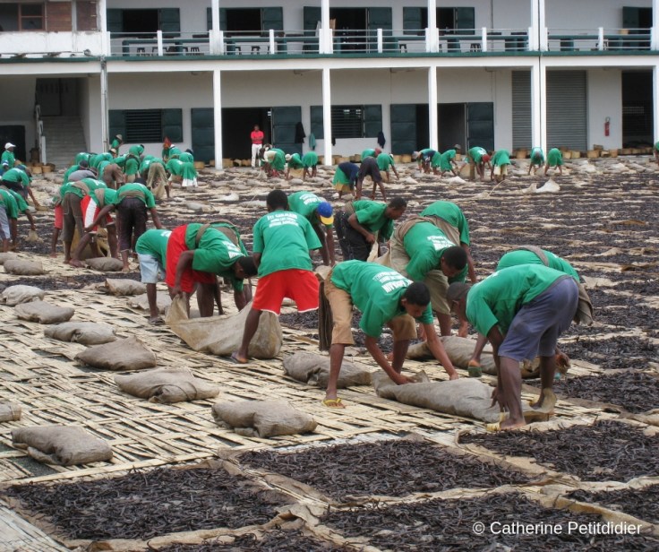 Catherine Petitdidier Naturopathe Puteaux Vanille (9)