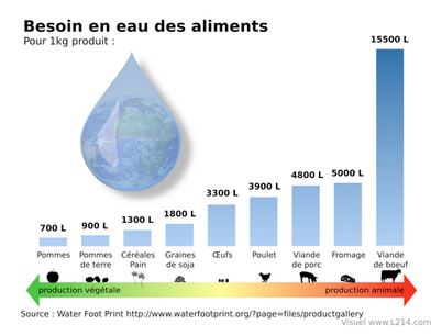 Catherine Petitdidier naturopathe Puteaux 51