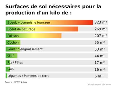 catherine Petitdidier naturopathe Puteaux 52